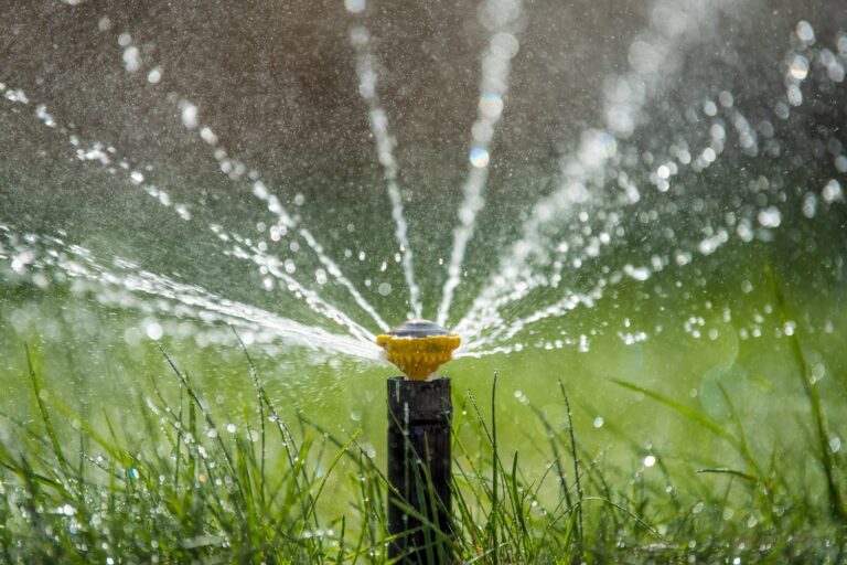 Co zrobić gdy automatyczny system podlewania nie włącza się o określonych godzinach?